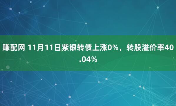 赚配网 11月11日紫银转债上涨0%，转股溢价率40.04%