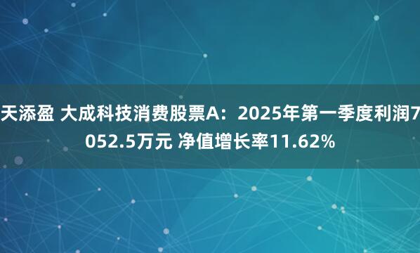 天添盈 大成科技消费股票A：2025年第一季度利润7052.5万元 净值增长率11.62%