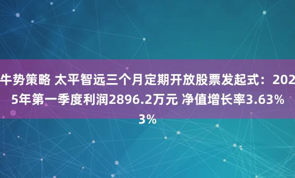 牛势策略 太平智远三个月定期开放股票发起式：2025年第一季度利润2896.2万元 净值增长率3.63%