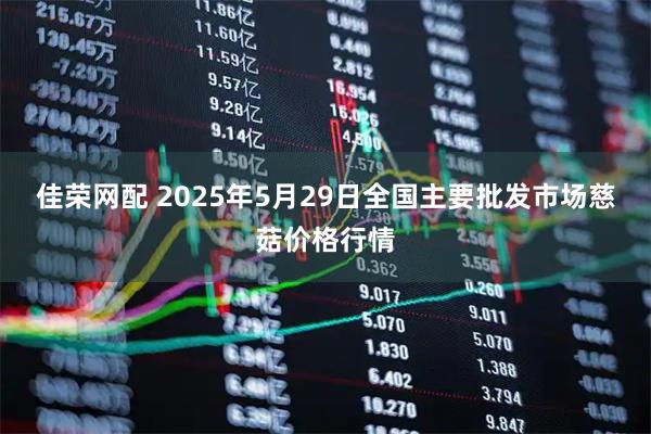 佳荣网配 2025年5月29日全国主要批发市场慈菇价格行情