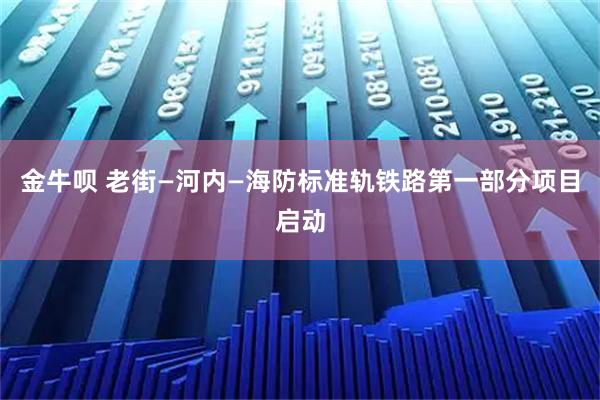 金牛呗 老街—河内—海防标准轨铁路第一部分项目启动