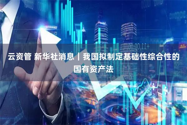云资管 新华社消息｜我国拟制定基础性综合性的国有资产法