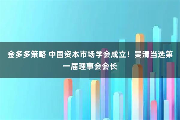 金多多策略 中国资本市场学会成立！吴清当选第一届理事会会长